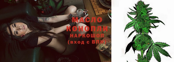 крисы Богородицк