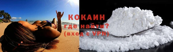 крисы Богородицк