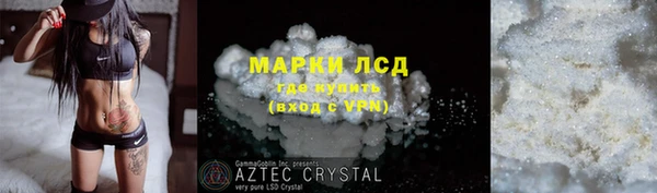 крисы Богородицк