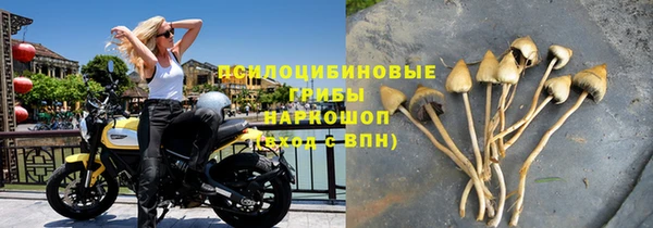 каннабис Богданович