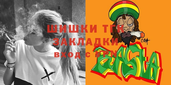 крисы Богородицк