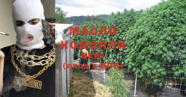 крисы Богородицк